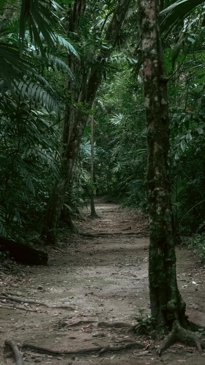 Trilha da Serra de São José